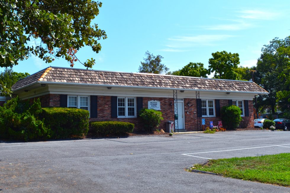 Beltsville Veterinary Hospital Contact, Location, Hours, Directions
